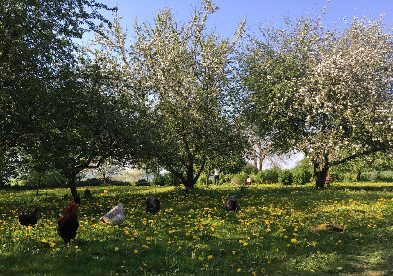 Horhaven B&B Fuglebjerg Dış mekan fotoğraf